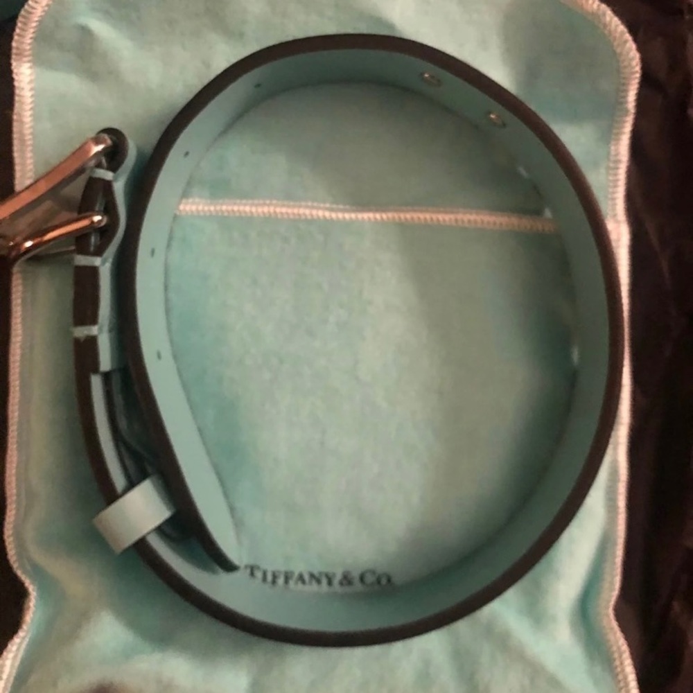 Tiffany & co large dog collar